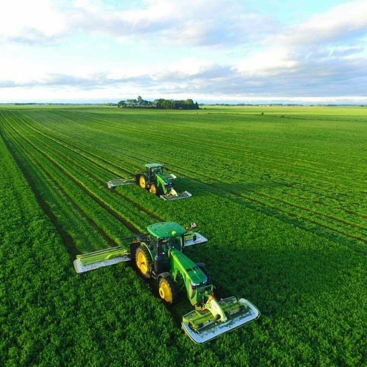 Modern Agricultural Fields